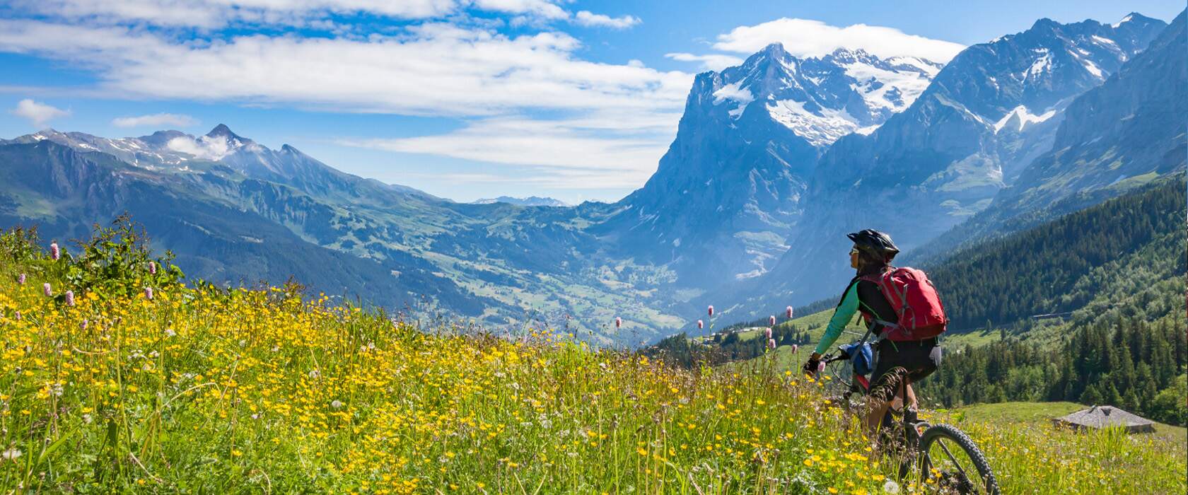 Introducing emba X: An innovative new Executive MBA taking “Swissness” to the next level