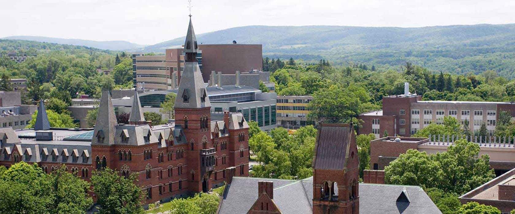 Get to know the STEM-designated MBA programs at Cornell