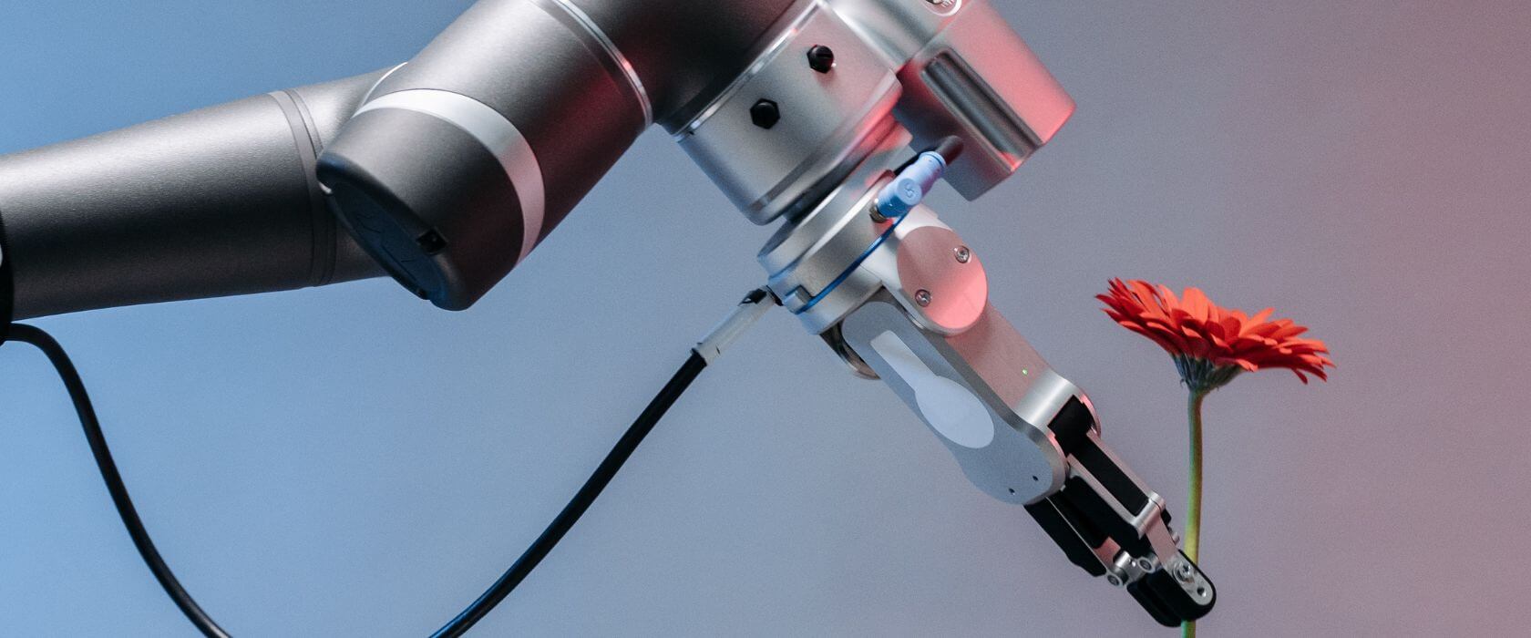 A Part-time MBA in Business Innovation offers the best of both worlds