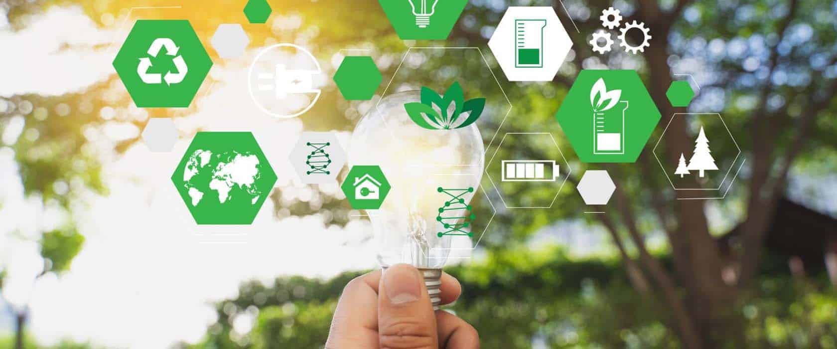 The MBA That Puts Sustainability First