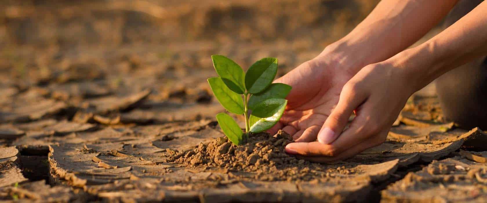 Fighting Climate Change Armed With an Oxford MBA