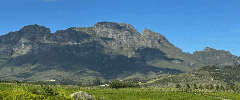 What Makes a Responsible Leader? The Stellenbosch MBA Has Answers image