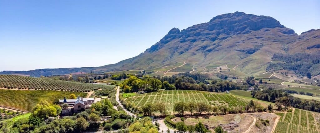 10 Reasons to Study at Stellenbosch Business School image
